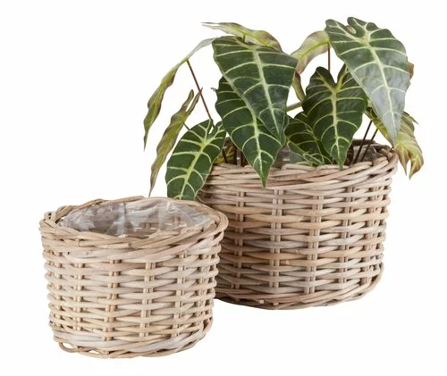 Trädgårdskruka SANSEBIE Ø27/35 Natur 2st/set 3 Trädgårdskruka SANSEBIE Ø27/35 Natur 2st/set